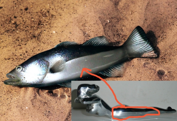 Creation of Dead Fish: Step 1